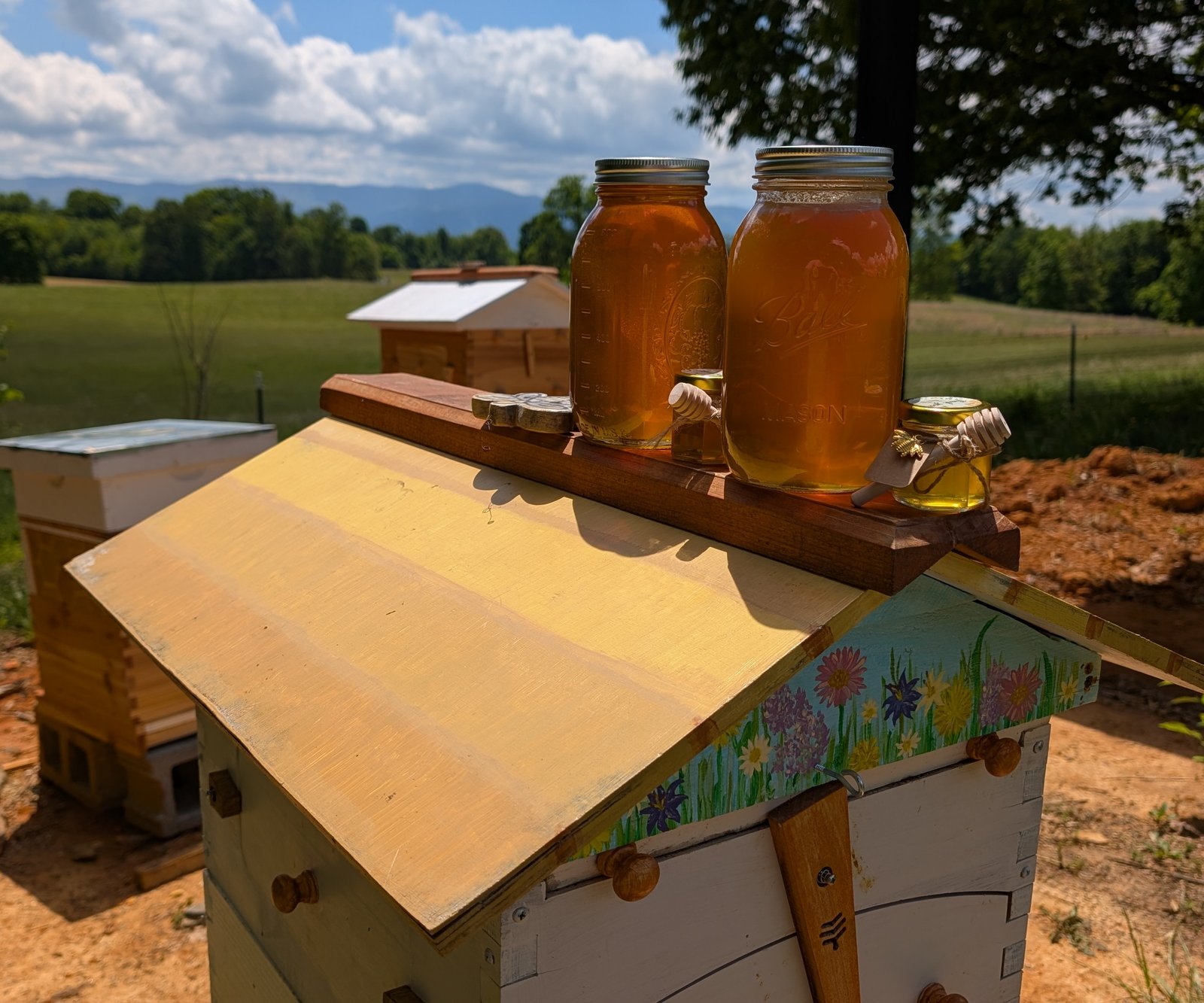 Clear Mountain Apiary