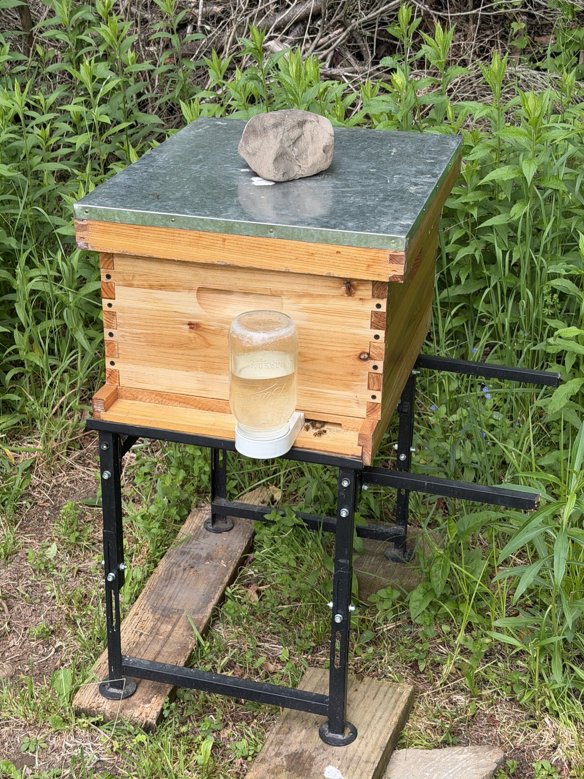 Hive photo
