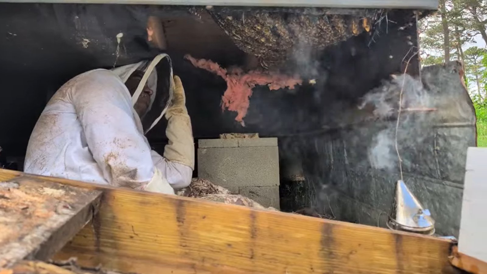 during extraction