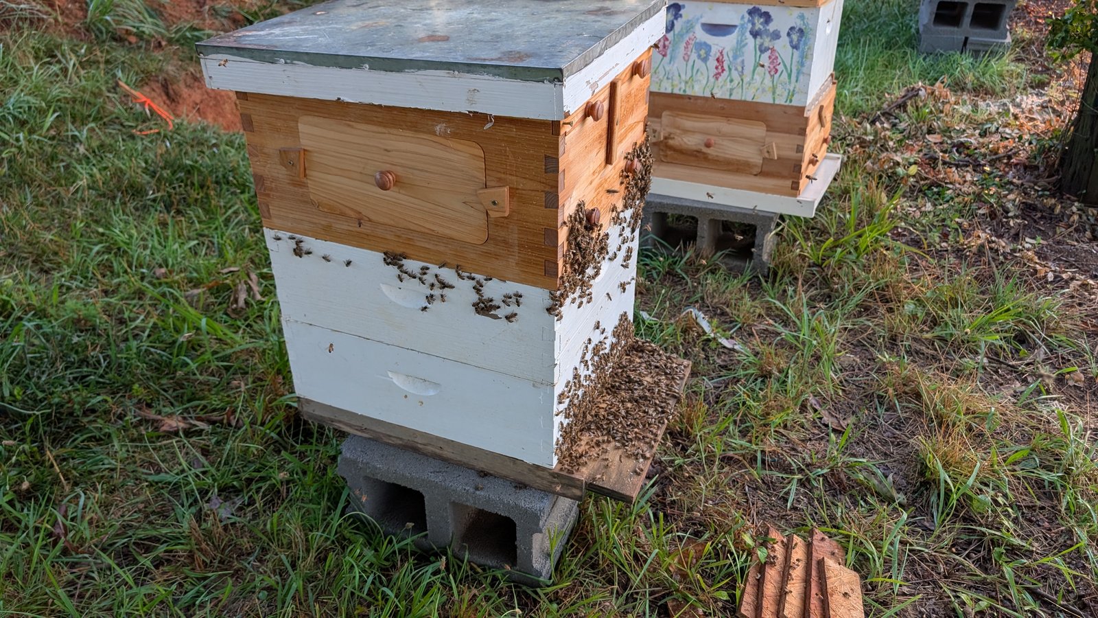 their new home