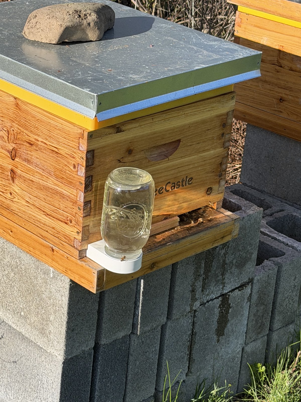 Hive photo