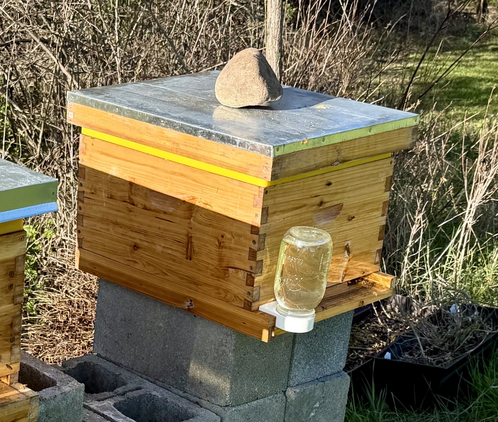 Hive photo